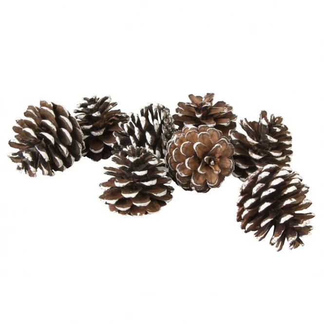 MICA Living Tannenzapfen Mit Kunstschnee - Aus Holz - Ca. 6 Cm - 8 Stück 4 MICA Living Tannenzapfen Mit Kunstschnee - Aus Holz - Ca. 6 Cm - 8 Stück – Bild 2