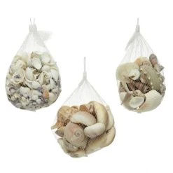Sonstiger Hersteller Streudeko - Muscheln - 1 Beutel 10 Sonstiger Hersteller Streudeko - Muscheln - 1 Beutel -MICA decoration Shop 235795 1