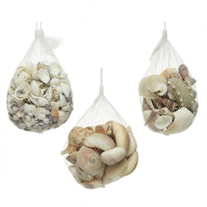 Sonstiger Hersteller Streudeko - Muscheln - 1 Beutel 6 Sonstiger Hersteller Streudeko - Muscheln - 1 Beutel – Bild 4