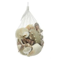 Sonstiger Hersteller Streudeko - Muscheln - 1 Beutel 9 Sonstiger Hersteller Streudeko - Muscheln - 1 Beutel -MICA decoration Shop 235795 4