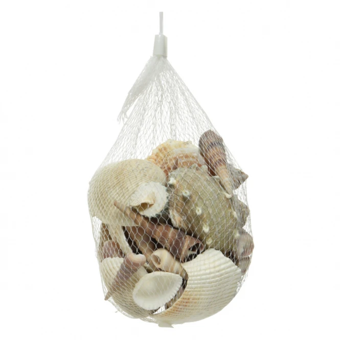 Sonstiger Hersteller Streudeko - Muscheln - 1 Beutel 5 Sonstiger Hersteller Streudeko - Muscheln - 1 Beutel – Bild 3