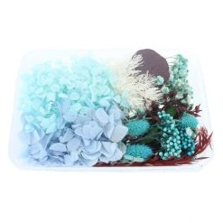 MICA Living Streudeko - Trockenblumen - Türkis