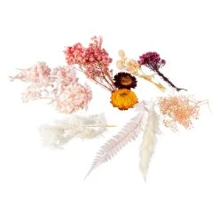 MICA Living Streudeko - Trockenblumen - Rosa