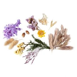 MICA Living Streudeko - Trockenblumen - Braun