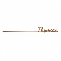 MICA Living Gewürzstecker Thymian - Aus Metall - Ca. 30 X 3 Cm