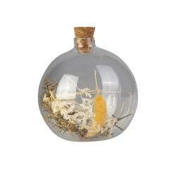 MICA Living Glasvase Mit Trockenblumen Und Korken - Ca. 10 X 11 Cm